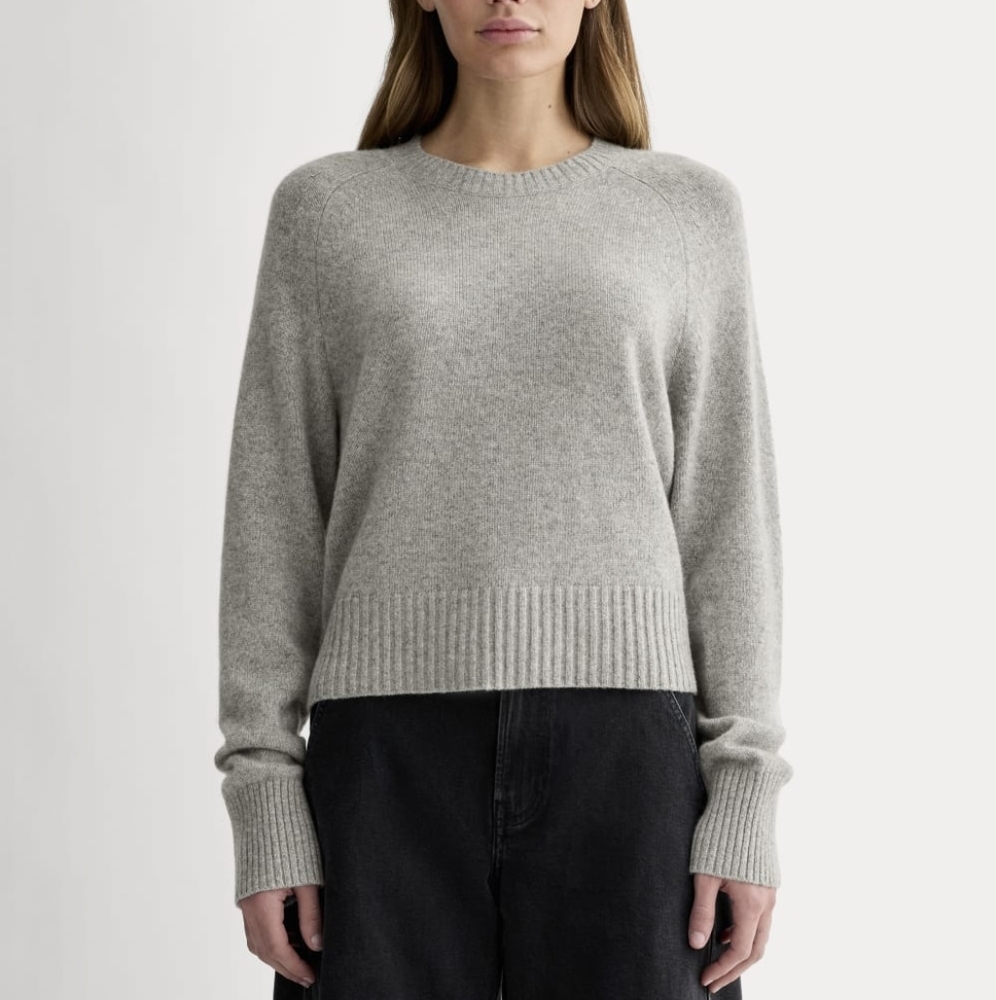 Everlane The Boxy Crew In Cashmere Light Heathered Gray Large